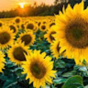 Meet your Posher, Kaydence